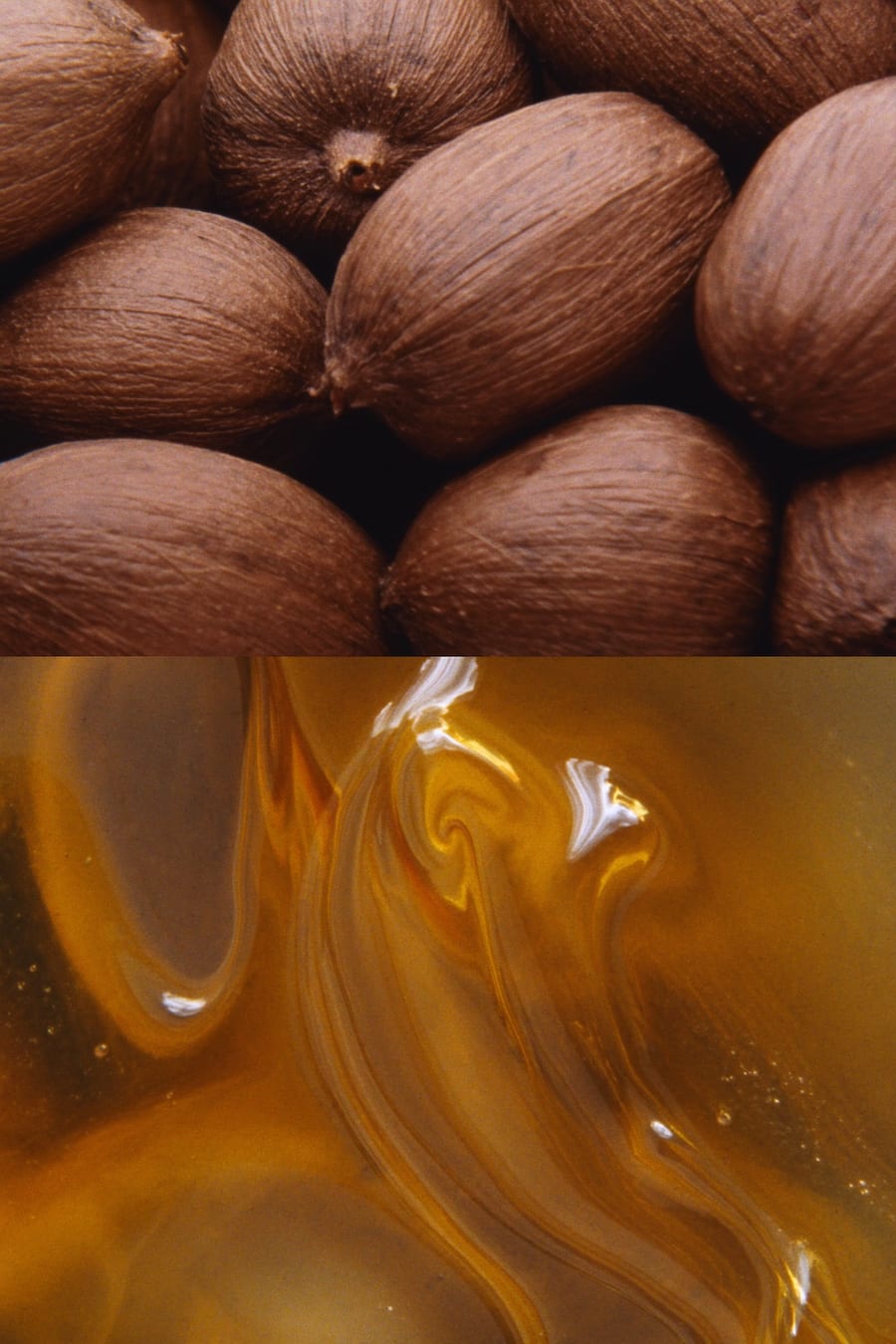 Jojoba oil
